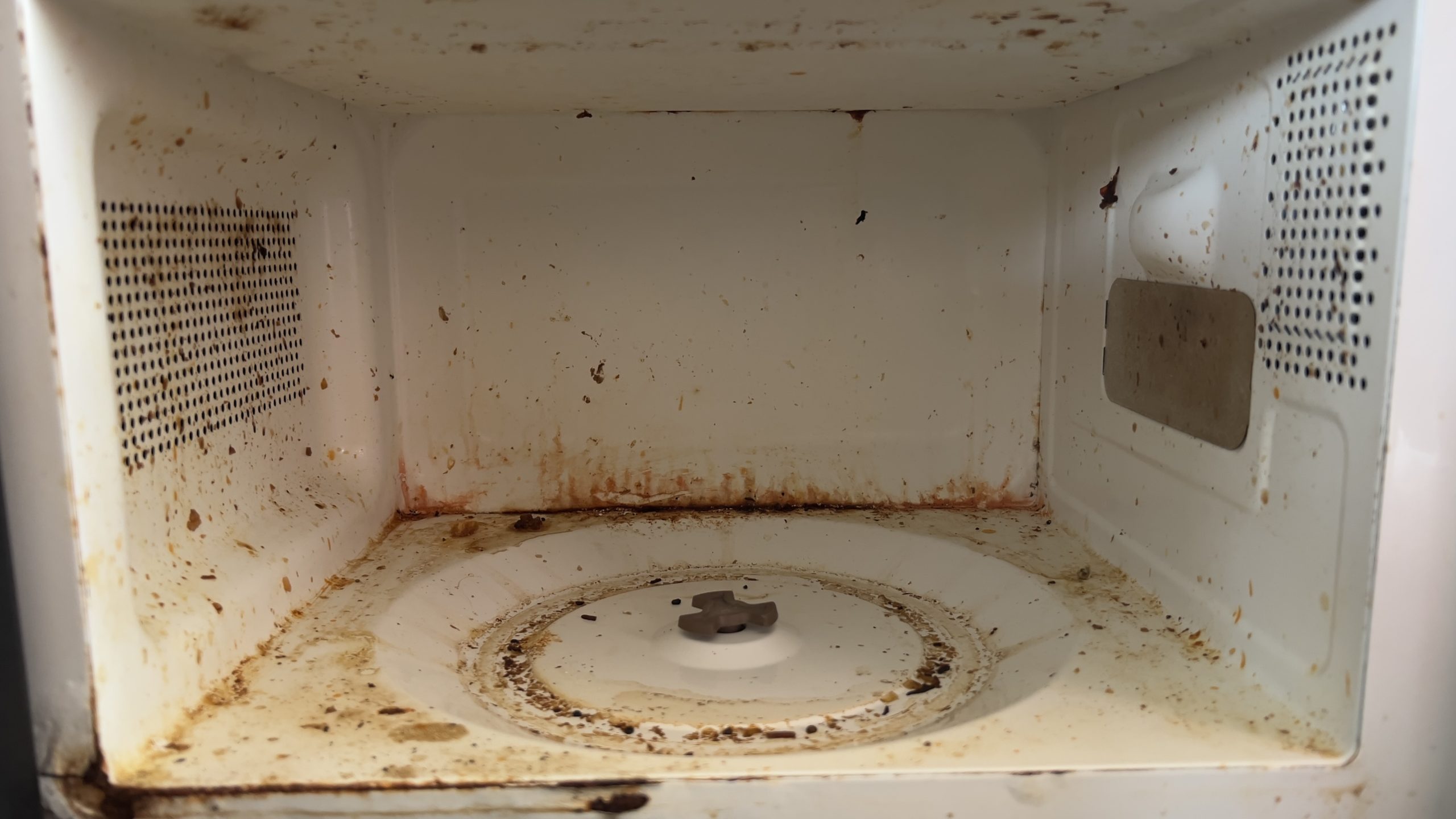 food splatters in microwave food splatters in microwave